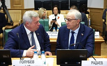 Расширенное заседание Комитета СФ по федеративному устройству, региональной политике, местному самоуправлению и делам Севера (в рамках Дней Волгоградской области в Совете Федерации»