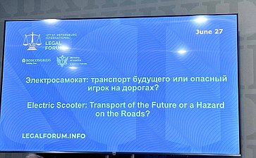Николай Владимиров принял участие в сессии «Электросамокат: транспорт будущего или опасный игрок на дорогах?»