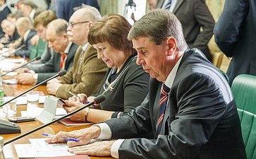 В Совете Федерации состоялось очередное заседание Комитета общественной поддержки жителей Юго-Востока Украины