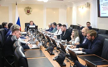 Заседание Комиссии Совета Федерации по информационной политике и взаимодействию со СМИ на тему «Злоупотребления с использованием искусственного интеллекта и возможности противодействия»