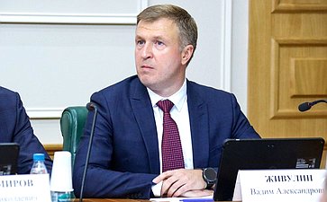 Заседание Комитета Совета Федерации по конституционному законодательству и государственному строительству
