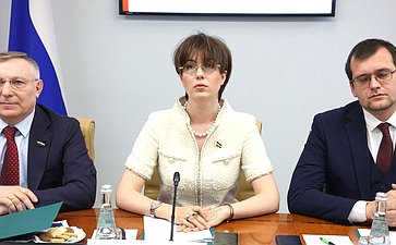Онлайн-конференция между членами палаты молодых законодателей при СФ и молодыми членами СНП провинции Ляонин КНР