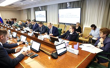 Заседание Комитета Совета Федерации по бюджету и финансовым рынкам
