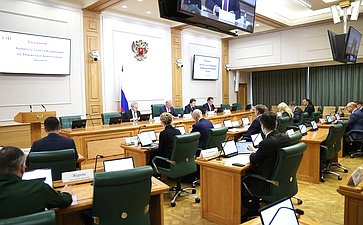 Заседание Комитета Совета Федерации по бюджету и финансовым рынкам