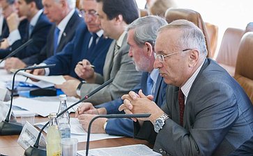 Заседание Комитета по федеративному устройству, региональной политике, местному самоуправлению и делам Севера - 1 Чернышенко, Ермаков