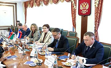 Елена Перминова встретилась с членом Постоянного комитета по вопросам государственной бюджетной отчетности и экономики Национального совета Намибии Абнером Шиконго