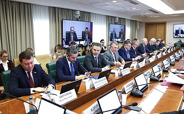 Заседание Комитета Совета Федерации по экономической политике на тему «О мерах по обеспечению безопасности воздушных перевозок на территории РФ»