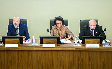 Заседание рабочей группы по подготовке предложений о внесении поправок в Конституцию РФ