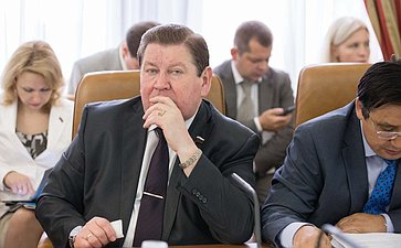 В. Литюшкин Заседание Комитета Совета Федерации по федеративному устройству, региональной политике, местному самоуправлению и делам Севера