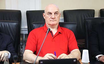 Заседание секции «Обеспечения технологического суверенитета и информационной безопасности РФ» Совета по развитию цифровой экономики при СФ