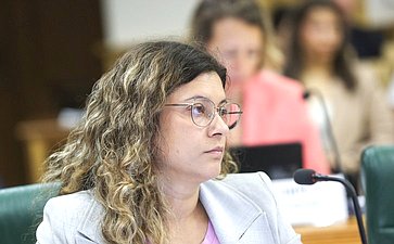 Заседание Комитета Совета Федерации по конституционному законодательству и государственному строительству