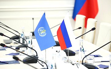 Встреча заместителя Председателя Совета Федерации Инны Святенко с директором Европейского регионального бюро Всемирной организации здравоохранения