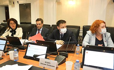 Расширенное заседание Комитета СФ по международном делам