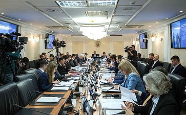 Расширенное заседание Комитета СФ по международным делам