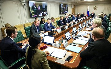 Заседание Комитета Совета Федерации по международным делам