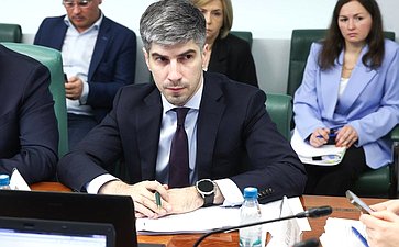 Заседание Комитета Совета Федерации по социальной политике