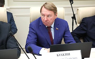 Владимир Кожин