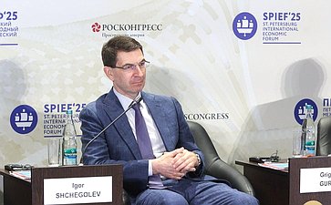 XXVIII Петербургский международный экономический форум (ПМЭФ’25). «Роль государства и медиа в в формировании мировоззрения и ценностей человека»