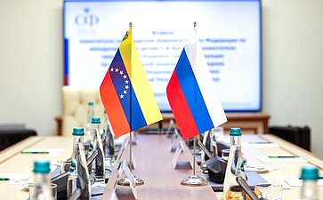 Сенаторы обсудили межпарламентское сотрудничество с депутатами Национальной Ассамблеи Венесуэлы