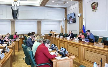 Заседание Совета при Председателе СФ по взаимодействию с институтами гражданского общества