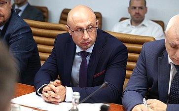 Заседание секции «Цифровая трансформация транспорта» на тему «Обсуждение концепций логистического проекта-международного транспорта БАС-Хаба с применением беспилотных летательных аппаратов между Россией и Китаем»