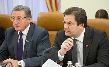 И. Фомин и С. Лукин Заседание Комитета Совета Федерации по федеративному устройству, региональной политике, местному самоуправлению и делам Севера