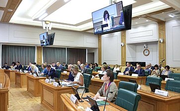 Заседание Комитета Совета Федерации по бюджету и финансовым рынкам