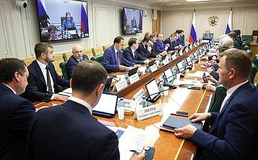 Заседание Комитета Совета Федерации по экономической политике