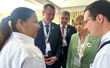 Сенаторы подвели итоги наблюдения за выборами в Национальную Ассамблею и региональные органы власти в Венесуэле