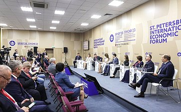 Дискуссионная сессия «Будут люди – будет бизнес: стратегическая мотивация для частных инвестиций в демографию» в рамках Петербургского международного экономического форума