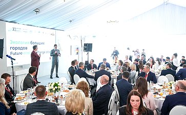 «Экология больших городов». XI Невский международный экологический конгресс