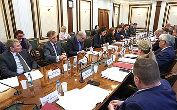 Заседание Комитета Совета Федерации по международным делам