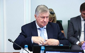 Заседание Комитета Совета Федерации по социальной политике