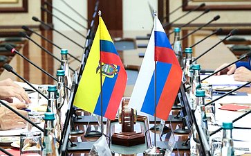 Заседание группы по сотрудничеству Совета Федерации с Национальной ассамблеей Республики Эквадор с участием Чрезвычайного и Полномочного Посла Республики Эквадор в Российской Федерации