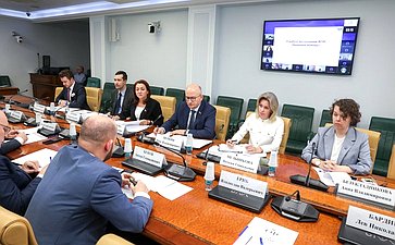Круглый стол Комитета Совета Федерации по конституционному законодательству и государственному строительству на тему «Правовая помощь в Российской Федерации: развитие цифровых сервисов»