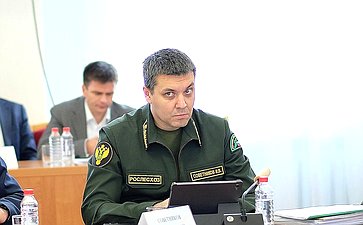 Выездное заседание Совета по вопросам развития лесного комплекса Российской Федерации