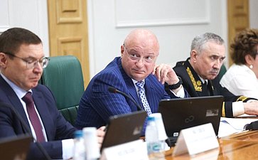 Заседание Комитета Совета Федерации по конституционному законодательству и государственному строительству