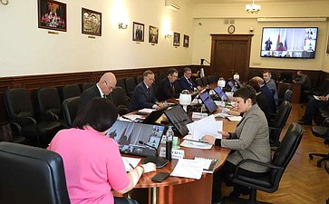 Елена Афанасьева провела заседание Комиссии Парламентского Собрания по социальной и молодежной политике, науке, культуре и гуманитарным вопросам