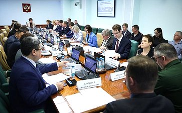 Заседание Комитета Совета Федерации по социальной политике