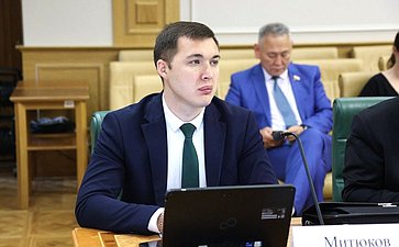 Заседание Комитета Совета Федерации по бюджету и финансовым рынкам