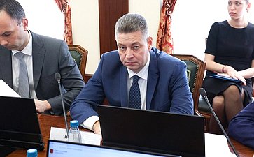 Заседание Комитета Совета Федерации по международным делам