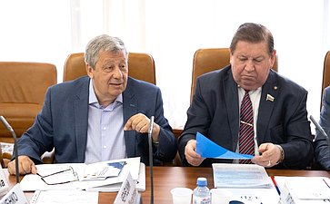 Аркадий Чернецкий и Владимир Литюшкин