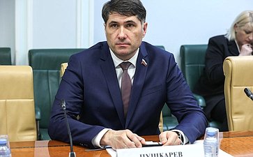 Владимир Пушкарев