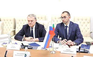 Василий Иконников провел встречу с болгарским политическим деятелем Руменом Петковым