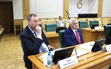 Заседание Комитета Совета Федерации по науке, образованию и культуре