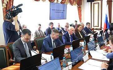 Заседание Комитета Совета Федерации по международным делам