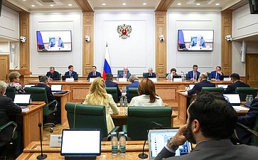 Заседание Комитета Совета Федерации по конституционному законодательству и государственному строительству