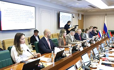 Александр Варфоломеев провел встречу с делегацией Законодательного Собрания Северо-Западной провинции Южно-Африканской Республики при участии Палаты молодых законодателей при Совете Федерации