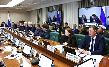 Заседание Комитета Совета Федерации по экономической политике на тему «О ходе подготовки «правительственного часа» по вопросу «О мерах по обеспечению технологического суверенитета РФ» 593-го заседания СФ»
