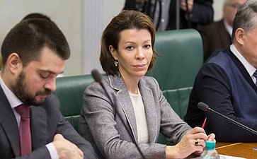 В. Крашенинникова на заседании Комитета общественной поддержки жителей Юго-Востока Украины